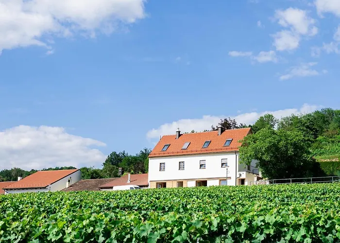 Goldberg Apartment Krems an der Donau