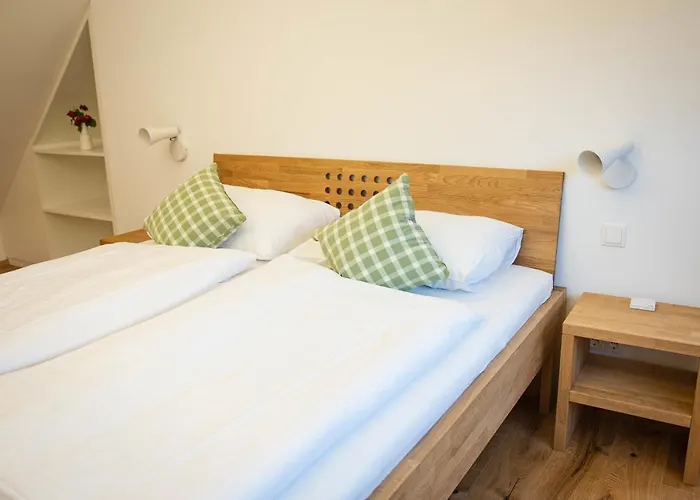 Goldberg Apartment Krems an der Donau